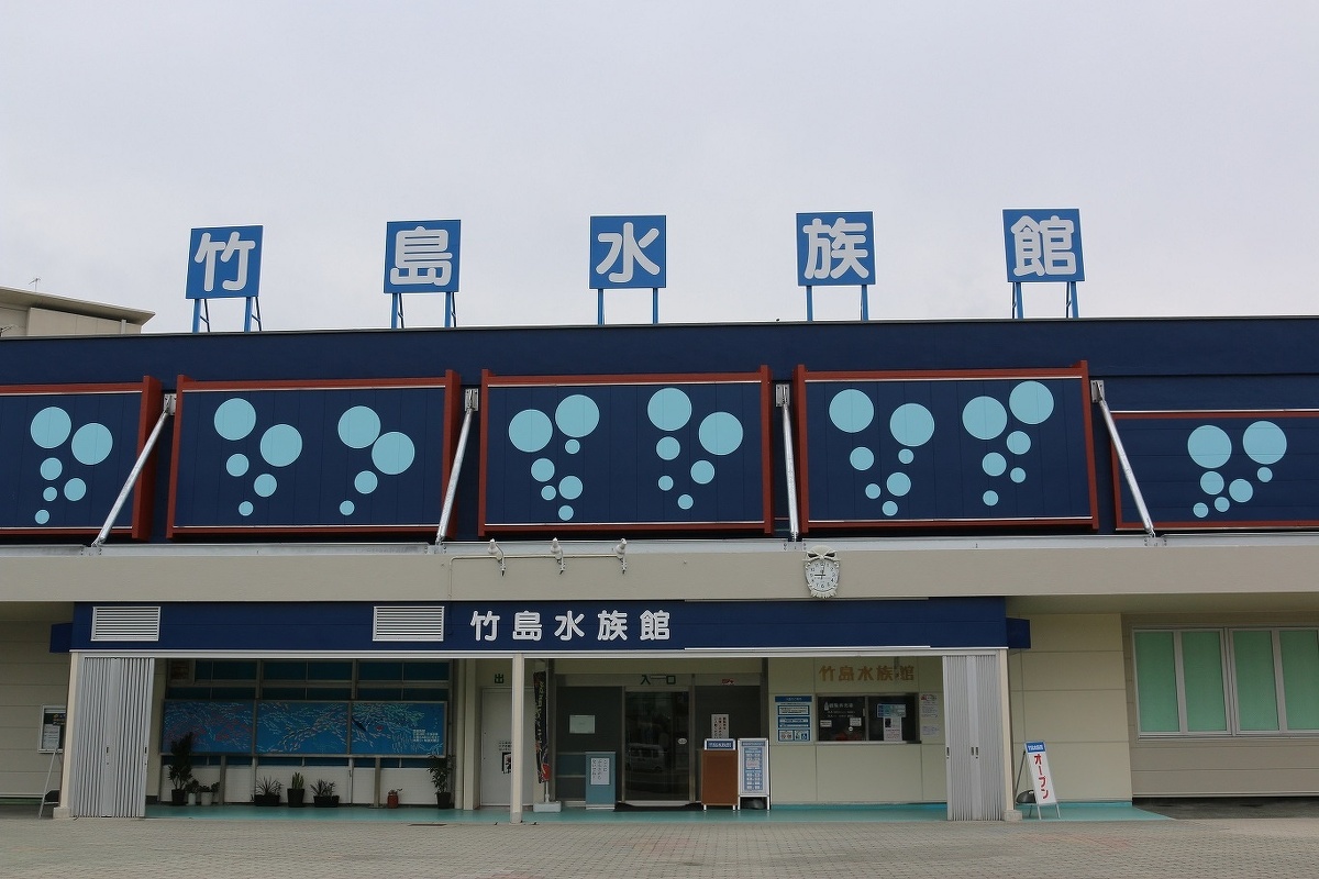 ２０２４年４月にリニューアルオープンした竹島水族館