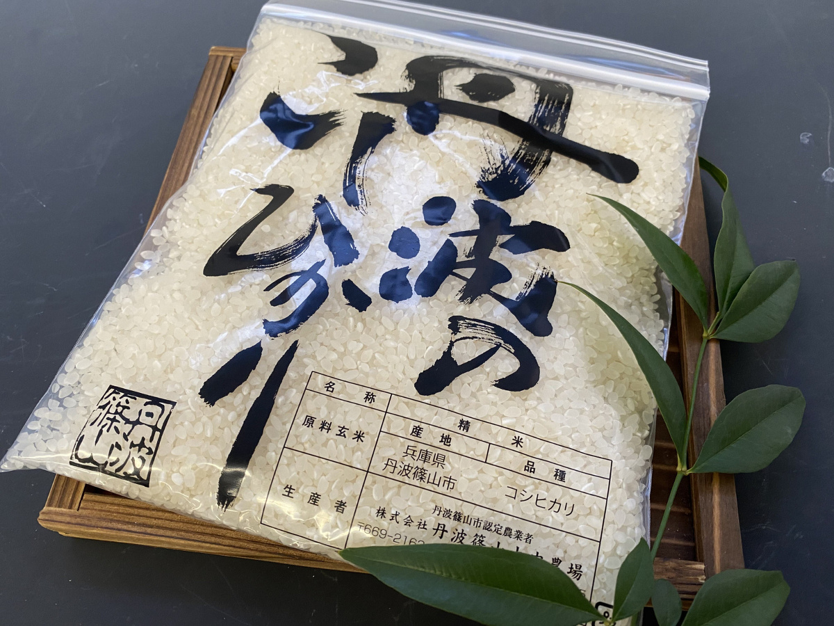 お土産　丹波産コシヒカリ（約３００ｇ）