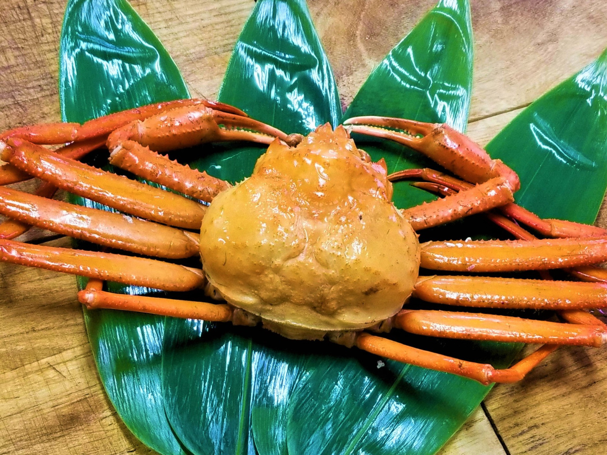 お土産は、紅ズワイガニ１杯（約２００ｇサイズ）など